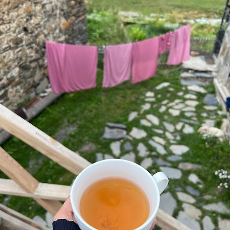 Guesthouse Ivas Ushguli Extérieur photo